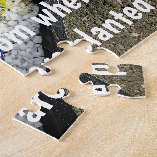 Succulenten in Planter Legpuzzel (Zijkant)