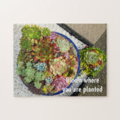 Succulenten in Planter Legpuzzel (Horizontaal)