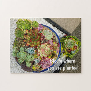Succulenten in Planter Legpuzzel