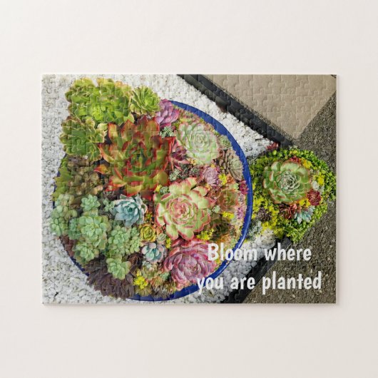 Succulenten in Planter Legpuzzel (Horizontaal)