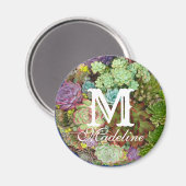 Succulenten in Planter Magneet (Voorkant / Achterkant)