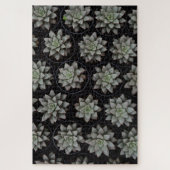 Succulenten in potten legpuzzel (Verticaal)