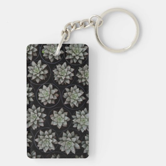 Succulenten in potten sleutelhanger (achterkant)