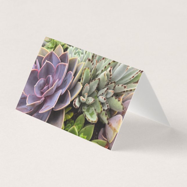 Succulenten Kaart (Voorkant)