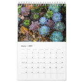 Succulenten Kalender (Mar 2027)