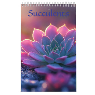 Succulenten Kalender