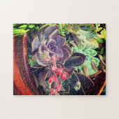 Succulenten Legpuzzel (Horizontaal)