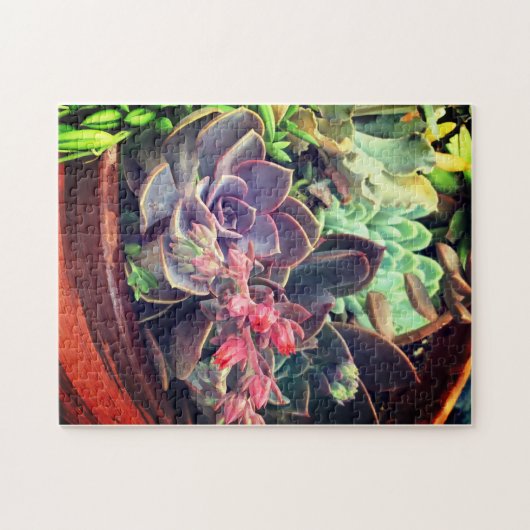 Succulenten Legpuzzel (Horizontaal)