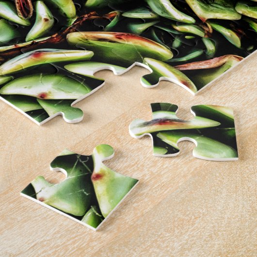 Succulenten Legpuzzel (Zijkant)