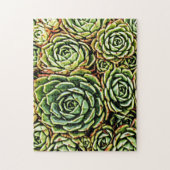 Succulenten Legpuzzel (Verticaal)