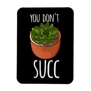 Succulenten Magneet