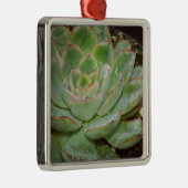 Succulenten Metalen Ornament (Rechts)