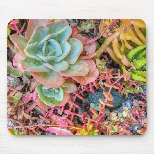 Succulenten Muismat (Voorkant)