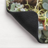 Succulenten Muismat (Hoek)