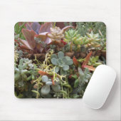 Succulenten Muismat (Met muis)
