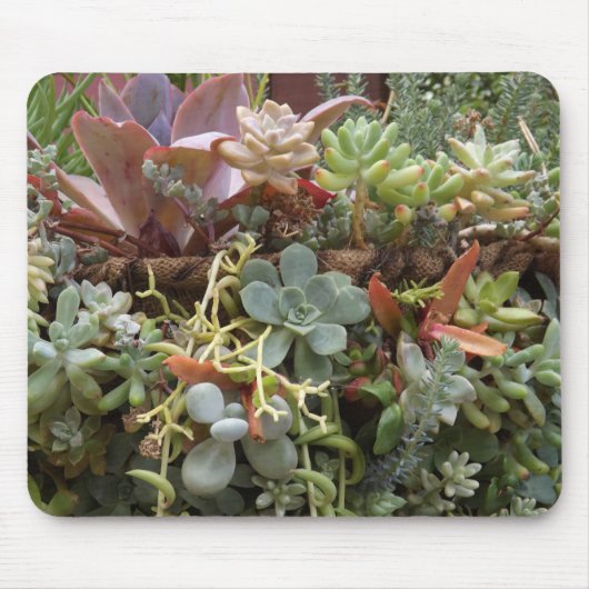 Succulenten Muismat (Voorkant)