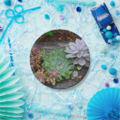 Succulenten op drijfhout papier Bord (Feest)