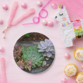Succulenten op drijfhout papier Bord (Feest)