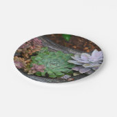 Succulenten op drijfhout papier Bord (Gekanteld)
