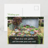 Succulenten op schatkist briefkaart (Voorkant / Achterkant)
