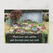 Succulenten op schatkist briefkaart (Voorkant)