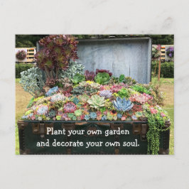 Succulenten op schatkist briefkaart
