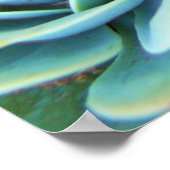 Succulenten Poster (Hoek)