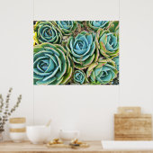 Succulenten Poster (Keuken)