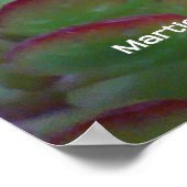 Succulenten Poster (Hoek)