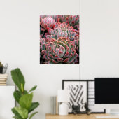 Succulenten Poster (Thuiskantoor)