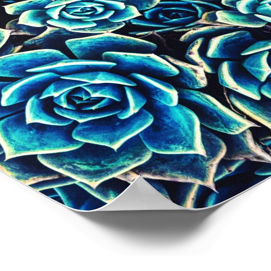 Succulenten Poster (Hoek)