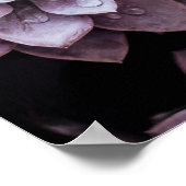 Succulenten Poster (Hoek)