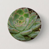 Succulenten Ronde Button 5,7 Cm (Voorkant)