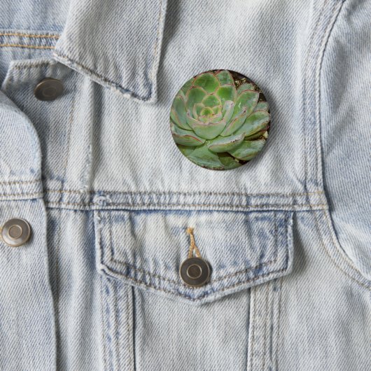 Succulenten Ronde Button 5,7 Cm (In situ)