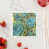 Succulenten Servetten (Insitu)