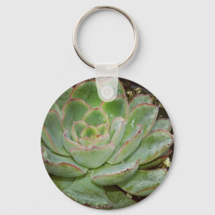 Succulenten Sleutelhanger