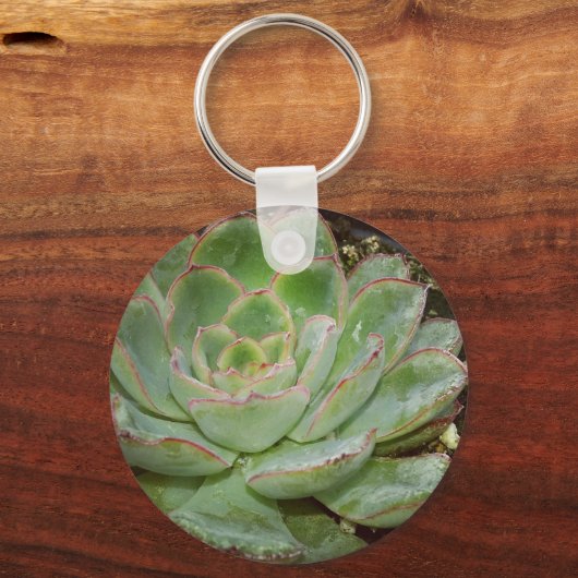 Succulenten Sleutelhanger (Voorkant)