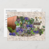 Succulenten te koop briefkaart (Voorkant / Achterkant)