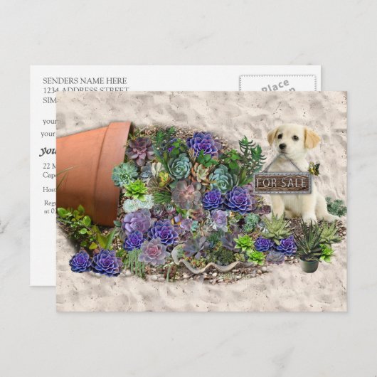 Succulenten te koop briefkaart (Voorkant / Achterkant)