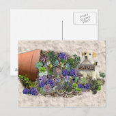 Succulenten te koop briefkaart (Voorkant / Achterkant)