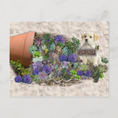 Succulenten te koop briefkaart (Voorkant)