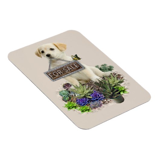 Succulenten te koop magneet (Rechterzijde)