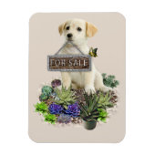 Succulenten te koop magneet (Verticaal)