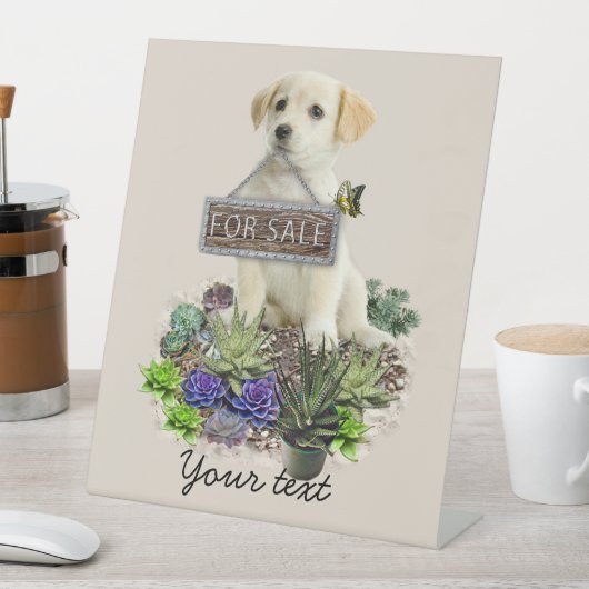 Succulenten te koop reclamebord met voetstuk (Insitu)