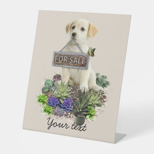 Succulenten te koop reclamebord met voetstuk (Voorkant)