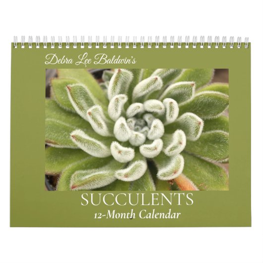 Succulenten van Debra Lee Baldwin #4 Kalender (Hoes)