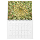 Succulenten van Debra Lee Baldwin #4 Kalender (Mar 2027)