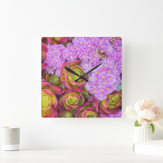 Succulenten Vierkante Klok (Huis)