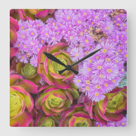 Succulenten Vierkante Klok