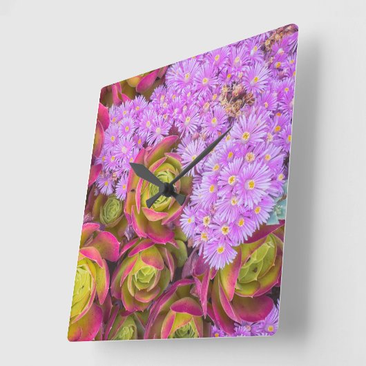 Succulenten Vierkante Klok (Hoek)